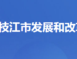 枝江市发展和改革局