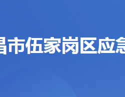 宜昌市伍家岗区应急管理局