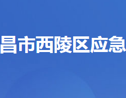 宜昌市西陵区应急管理局