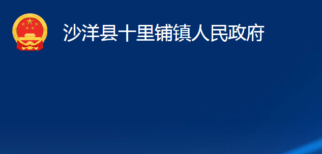 沙洋县十里铺镇人民政府