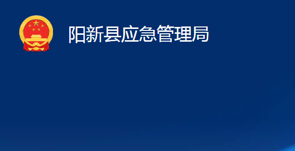 阳新县应急管理局