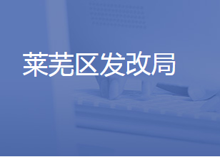 济南市莱芜区发展和改革局