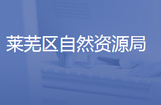 济南市莱芜区自然资源局
