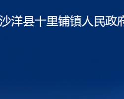 沙洋县十里铺镇人民政府政务服务网