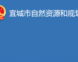 宜城市自然资源和规划局