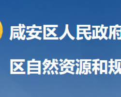 咸宁市咸安区自然资源和规划局