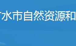 广水市自然资源和规划局