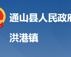 通山县洪港镇人民政府"