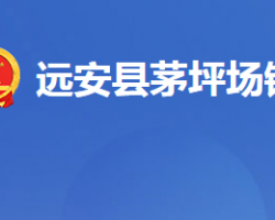 远安县茅坪场镇人民政府