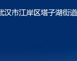 武汉市江岸区塔子湖街道办事处