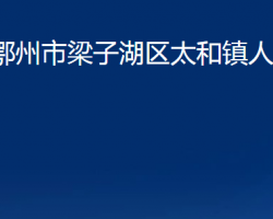 鄂州市梁子湖区太和镇人民政府政务服务网