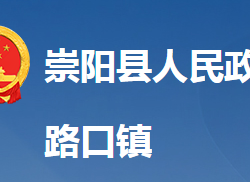 崇阳县路口镇人民政府