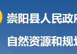 崇阳县自然资源和规划局