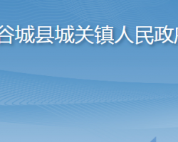 谷城县城关镇人民政府政务服务网