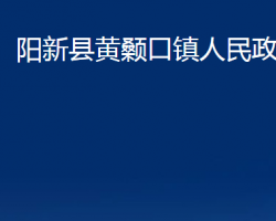 阳新县黄颡口镇人民政府政务服务网