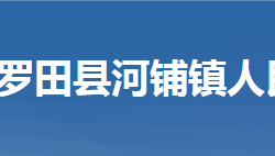 罗田县河铺镇人民政府