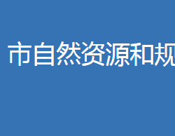 麻城市自然资源和规划局