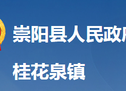 崇阳县桂花泉镇人民政府