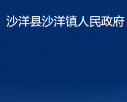 沙洋县沙洋镇人民政府政务服务网