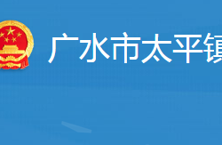 广水市太平镇人民政府