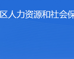 东营市东营区人力资源和社