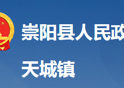 崇阳县天城镇人民政府
