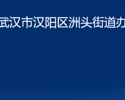 武汉市汉阳区洲头街道办事处