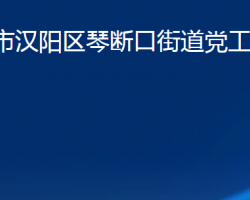 武汉市汉阳区琴断口街道党工委、办事处