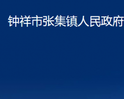 钟祥市张集镇人民政府默认相册