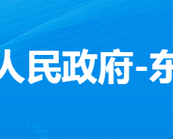 孝感市孝南区东山头街道办事处政务服务网