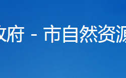 襄阳市自然资源和规划局樊