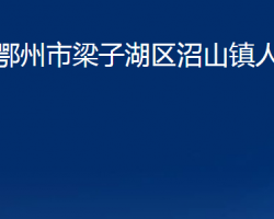 鄂州市梁子湖区沼山镇人民政府政务服务网