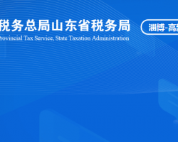 淄博高新技术产业开发区税