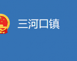 麻城市三河口镇人民政府