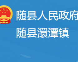 随县澴潭镇人民政府政务服务网