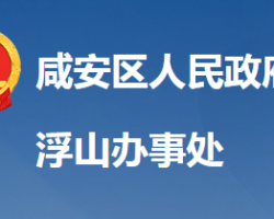 咸宁市咸安区浮山街道办事处