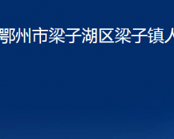 鄂州市梁子湖区梁子镇人民政府政务服务网