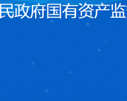 日照市人民政府国有资产监