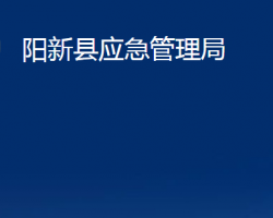 阳新县应急管理局