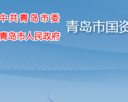 青岛市人民政府国有资产监