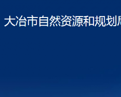 大冶市自然资源和规划局