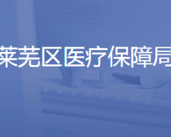 济南市莱芜区医疗保障局