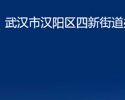 武汉市汉阳区四新街道办事处