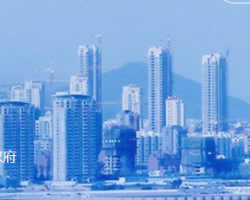 青岛市崂山区政务服务大厅默认相册