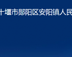 十堰市郧阳区安阳镇人民政府