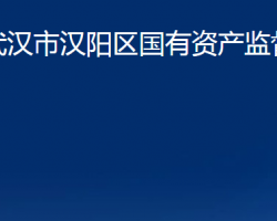 武汉市汉阳区国有资产监督