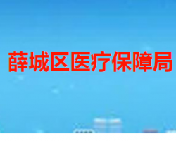 枣庄市薛城区医疗保障局