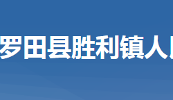 罗田县胜利镇人民政府"