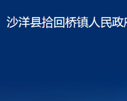 沙洋县拾回桥镇人民政府政务服务网