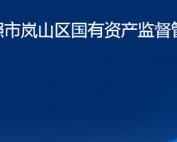 日照市岚山区国有资产监督